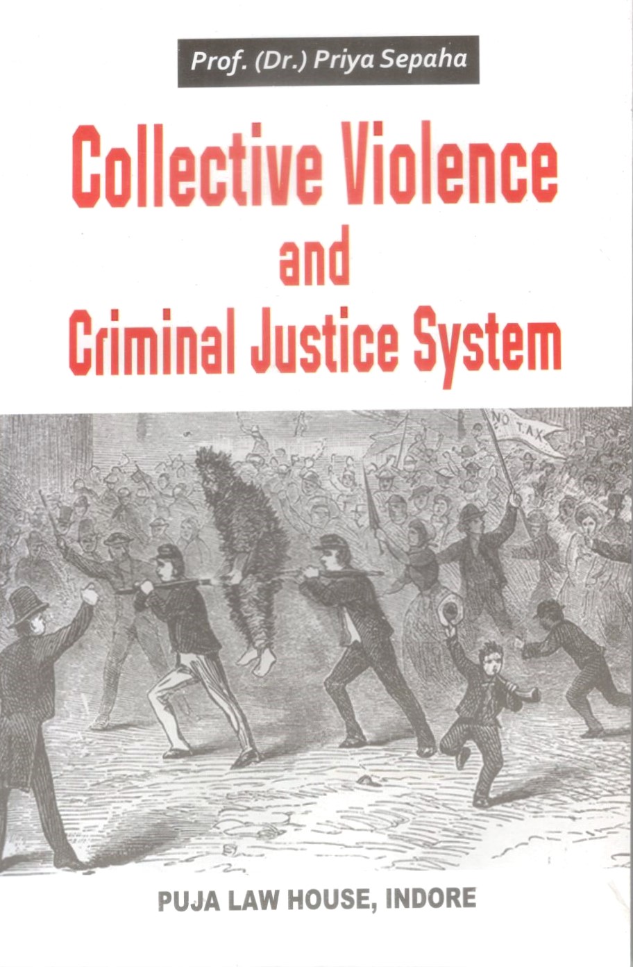 Collective Violence and Criminal Justice System